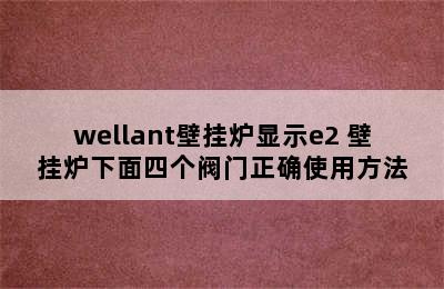 wellant壁挂炉显示e2 壁挂炉下面四个阀门正确使用方法